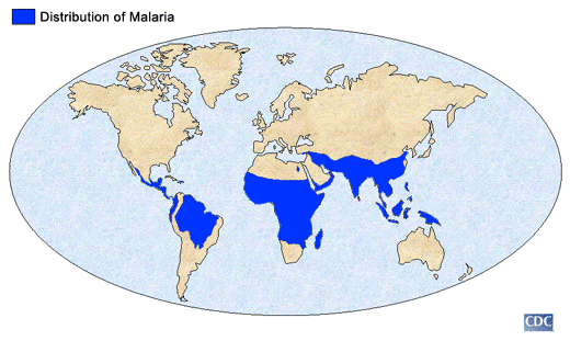 Worldwide distribution of malaria