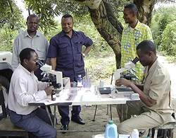 Microscopes in the field