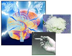Photos of cigarette and cocaine powder with colorized brain graphic.