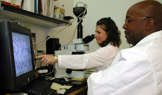 Stephanie Johnston and Henry Bishop of CDC's Division of Parasitic Diseases discuss telediagnosis images received through the Internet