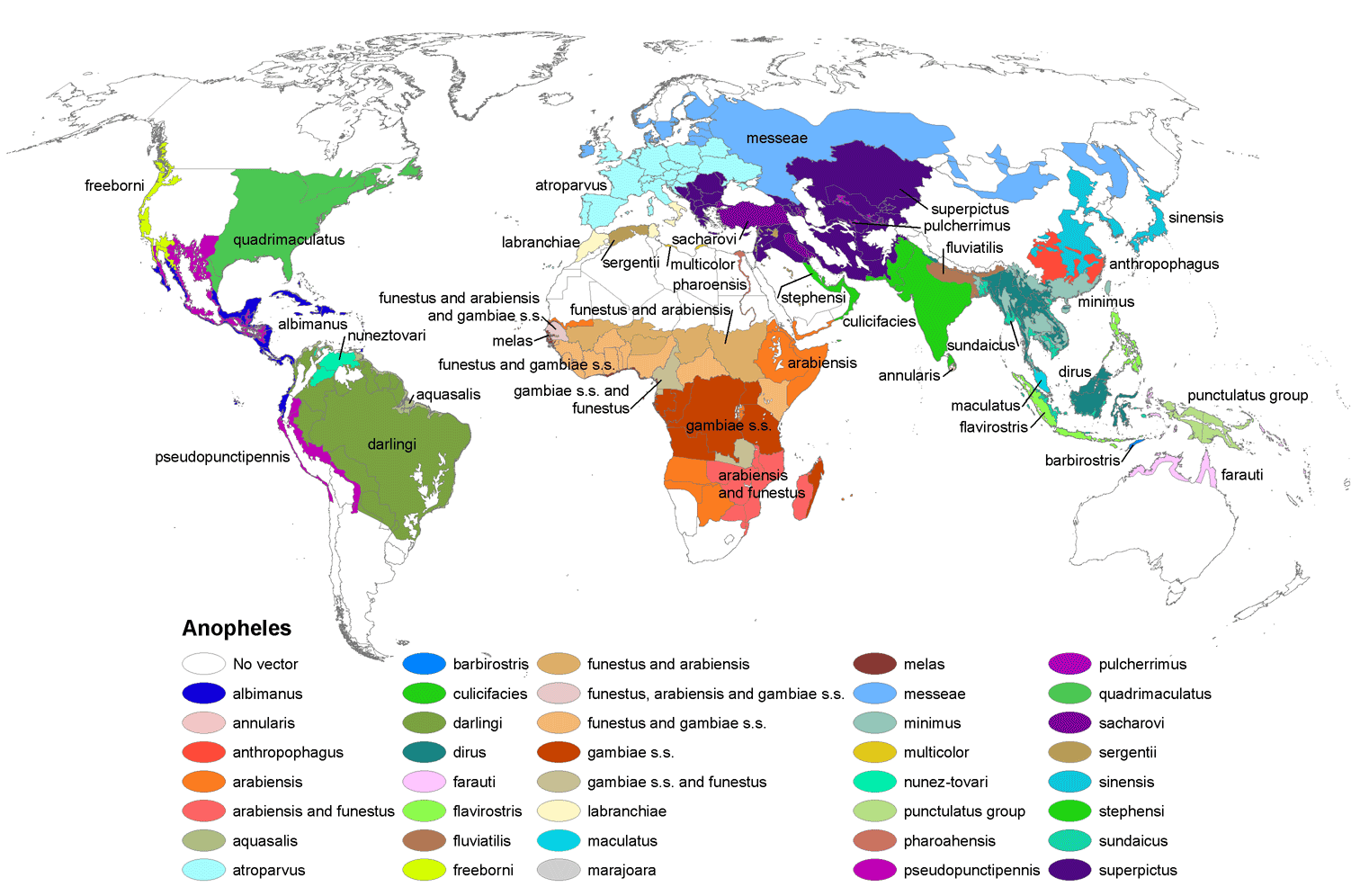 Global distribution (Robinson projection) of dominant or potentially important malaria vectors