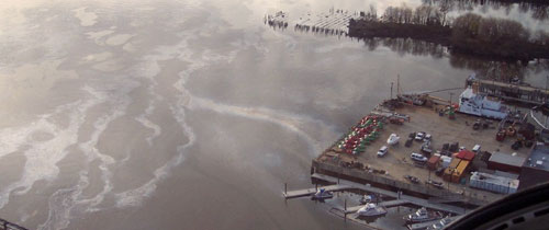 Workers clean up spilled oil along the Tinicum Island shoreline in Pennsylvania 