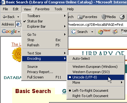 Screen: Set Encoding to UTF-8 in IE