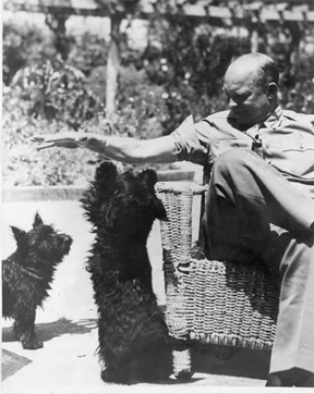 Eisenhower with dogs Telek and Caacie