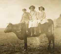 Children on a Cow