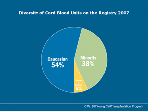 Pie chart showing the percentage of caucasian versus minority cord blood units on the Registry in 2007