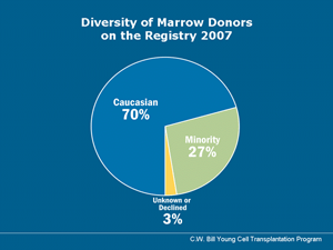 Pie chart showing the diversity of marrow donors on the Registry in 2007