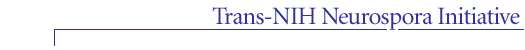 Trans-NIH Neurospora Initiative