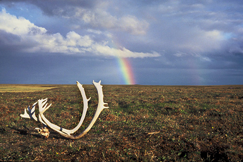 Rainbow at the North Slope, Photo Credit: Brian Anderson/USFWS