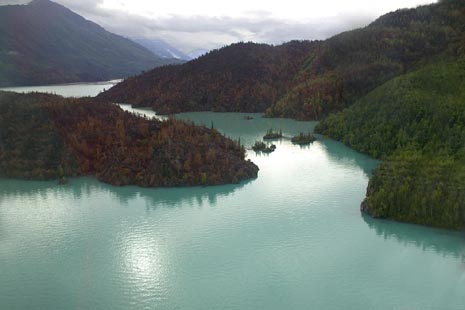 Kenai National Wildlife Refuge.   Photo Credit:  USFWS/Steve Hillebrand