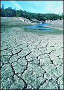A picture of a dried up lake or pond area.