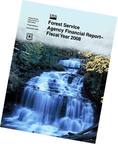 A thumbnail  graphic of the FY 2008 Agency Financial Report