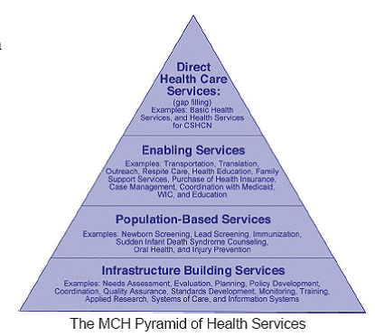 MCH Pyramid of Health Services