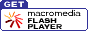 Download Flash Player