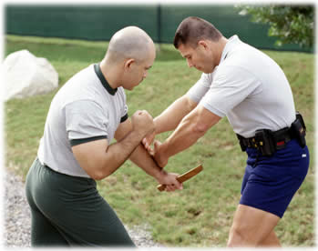 Picture of Tactical Training