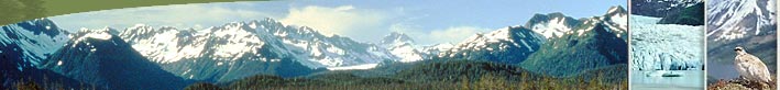Three photos together: snowcapped mountains and forested hills, lower end of a tidewater glacier, ptarmigan on a high ridge above a lake.