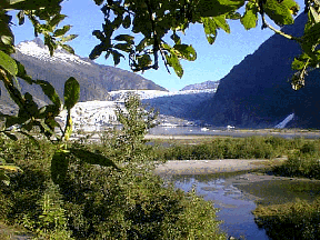 Mendenhall Glacier across the lake.  Link to web cam.