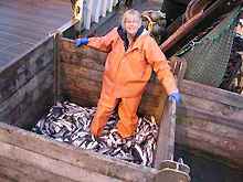 Jillian Worssam, a NOAA Teacher at Sea in 2004, poses with the catch of the day