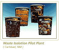 Waste Isolation Pilot Plant (Carlsbad, NM)