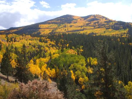 Photo: Fall colors Slumgullion Pass area.