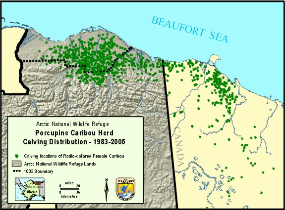 map of Porcupine caribou herd
calving locations - 1983 to 2005 - USFWS