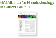 Nano Newsletter