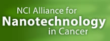 NCI Alliance for Nanotechnology in Cancer