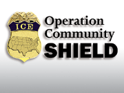 Community Shield logo