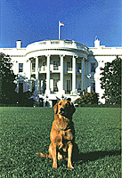 Liberty on the South Lawn of the White House