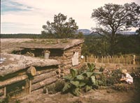 Garden adjacent to the dugout home of Jack Whinery, homesteader