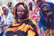 A member of the Koulbaga Gardeners Cooperative in Niger