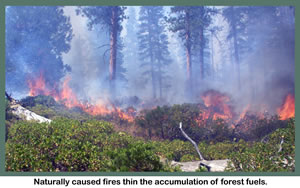 comb wildland fire use fire