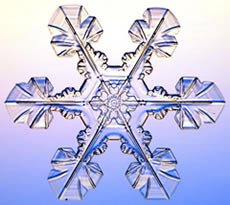 Photo of a snow crystal