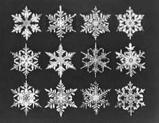 Photo of 12 snowflakes.