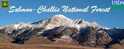 Welcome to the Salmon-Challis National Forest