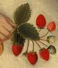 Ammi Phillips, 
The Strawberry Girl, c. 1830