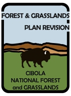 Forest Plan Revision