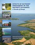 cover of "Effects of Nutrient Enrichment in the Nation’s Estuaries: A Decade of Change, National Estuarine Eutrophication Assessment Update"