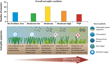 A conceptualization of the relationship between overall eutrophic conditions, associated eutrophic symptoms, and influencing factors (nitrogen loads and susceptibility).
