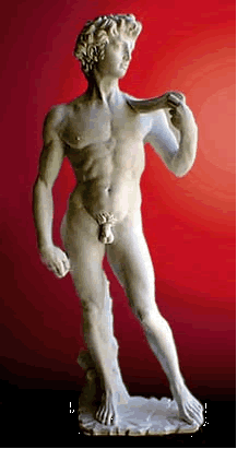 Michelangelo's David