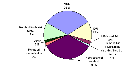 Pie Chart containing the following data...
MSM, 72,911
IDU, 29,488
MSM and IDU, 5,317
Hemophilia/ coagulation disorder/ blood or tissue, 2,642
Heterosexual contact, 77,146
Perinatal transmission, 4,681
Other, 4,002
No identifiable risk factor, 26,899