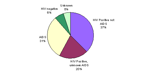 Pie Chart containing the following data...
HIV Positive not AIDS, 243,113
HIV Positive, unknown AIDS, 132,174
AIDS, 200,638
HIV negative, 41,419
Unknown, 32,670