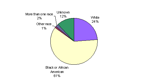 Pie Chart containing the following data...
White, 24%
Black or African American, 61%
Other race, 1%
More than one race, 2%
Unknown, 12%