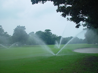 Treated sewage effluents may be used to irrigate golf courses and other green spaces.