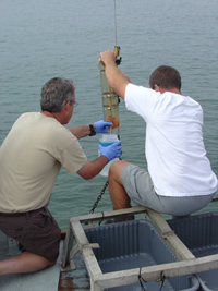 NOAA scientists collect water samples for pharmaceutical analysis. 