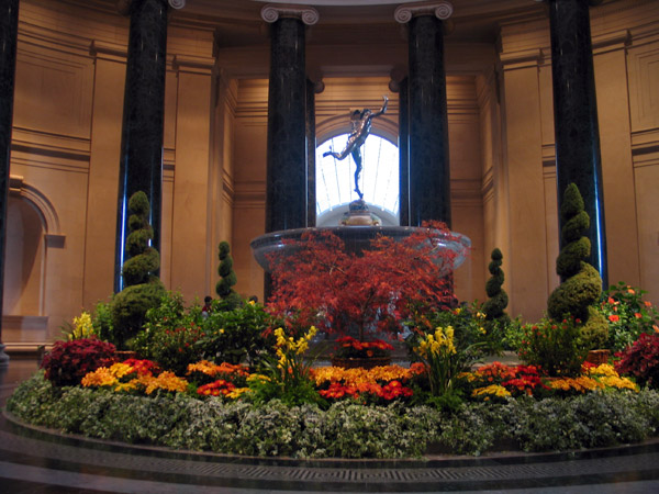 rotunda flowers