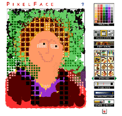 PIXELFACE sample