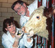 Research personnel examing animal for foot and mouth disease - USDA