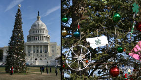 US Capitol Tree with 4-H ornaments