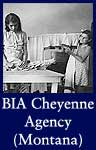 BIA Cheyenne Agency (Montana) (ARC ID 285245)